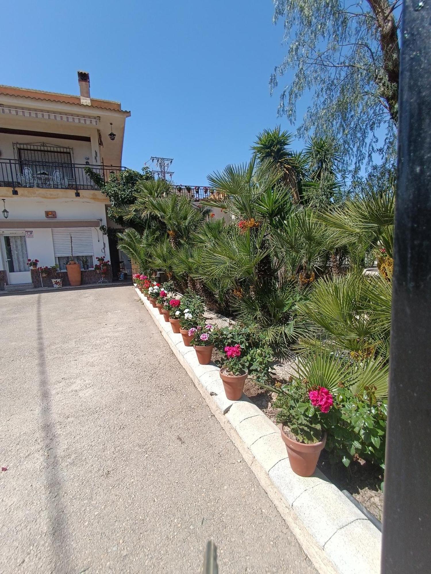 Casa Chalet Venta Ruizo ลอร์กา ภายนอก รูปภาพ