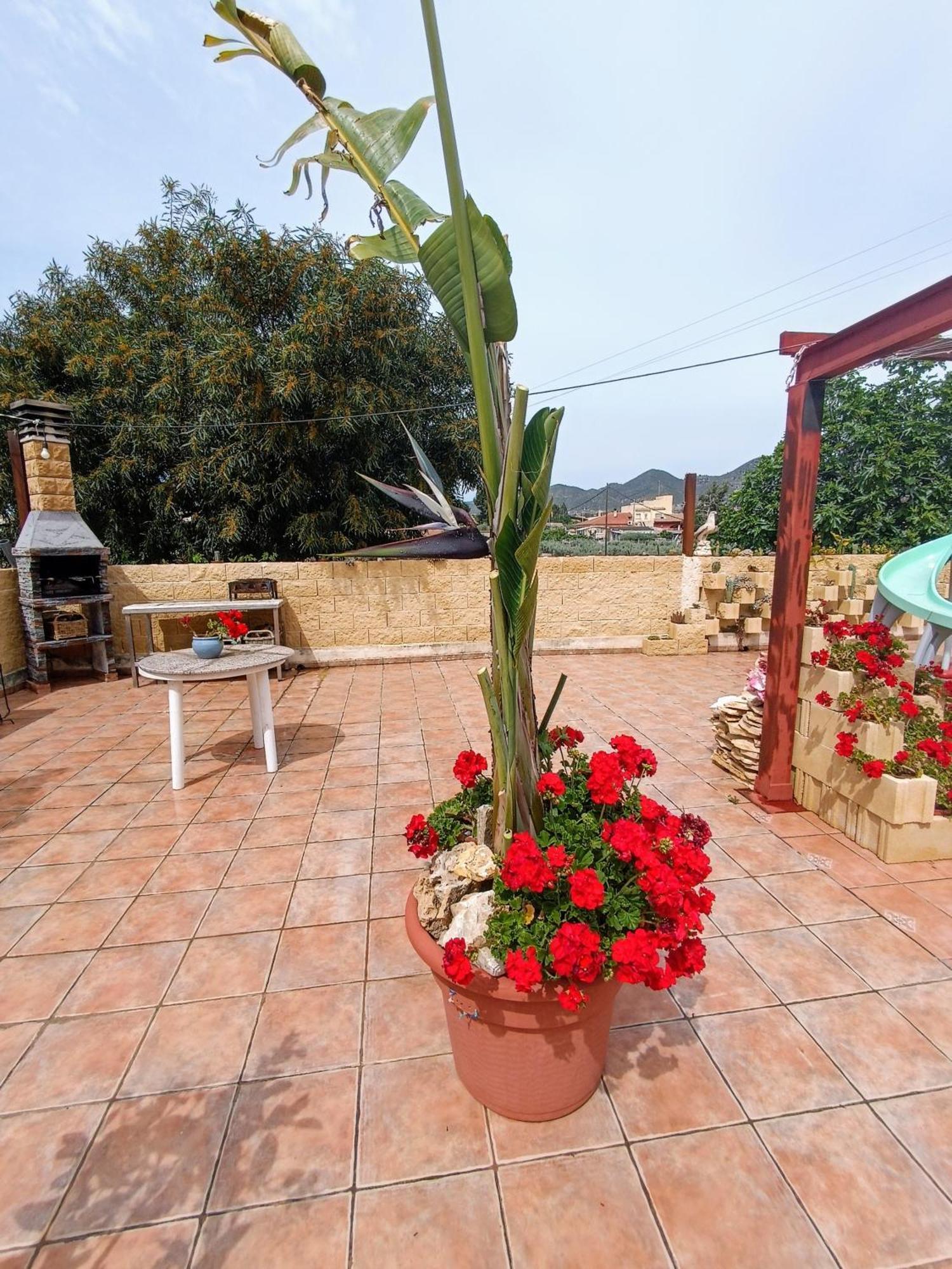 Casa Chalet Venta Ruizo ลอร์กา ภายนอก รูปภาพ