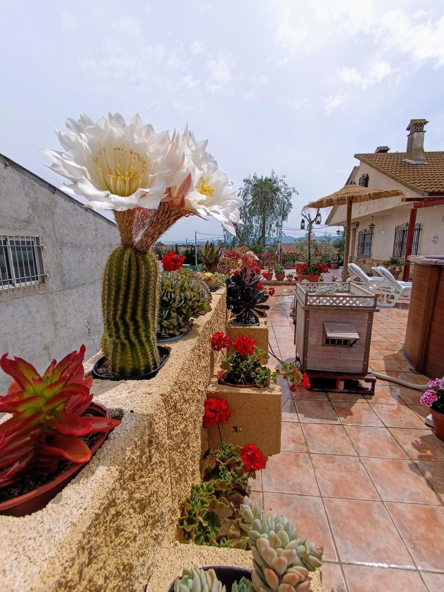 Casa Chalet Venta Ruizo ลอร์กา ภายนอก รูปภาพ